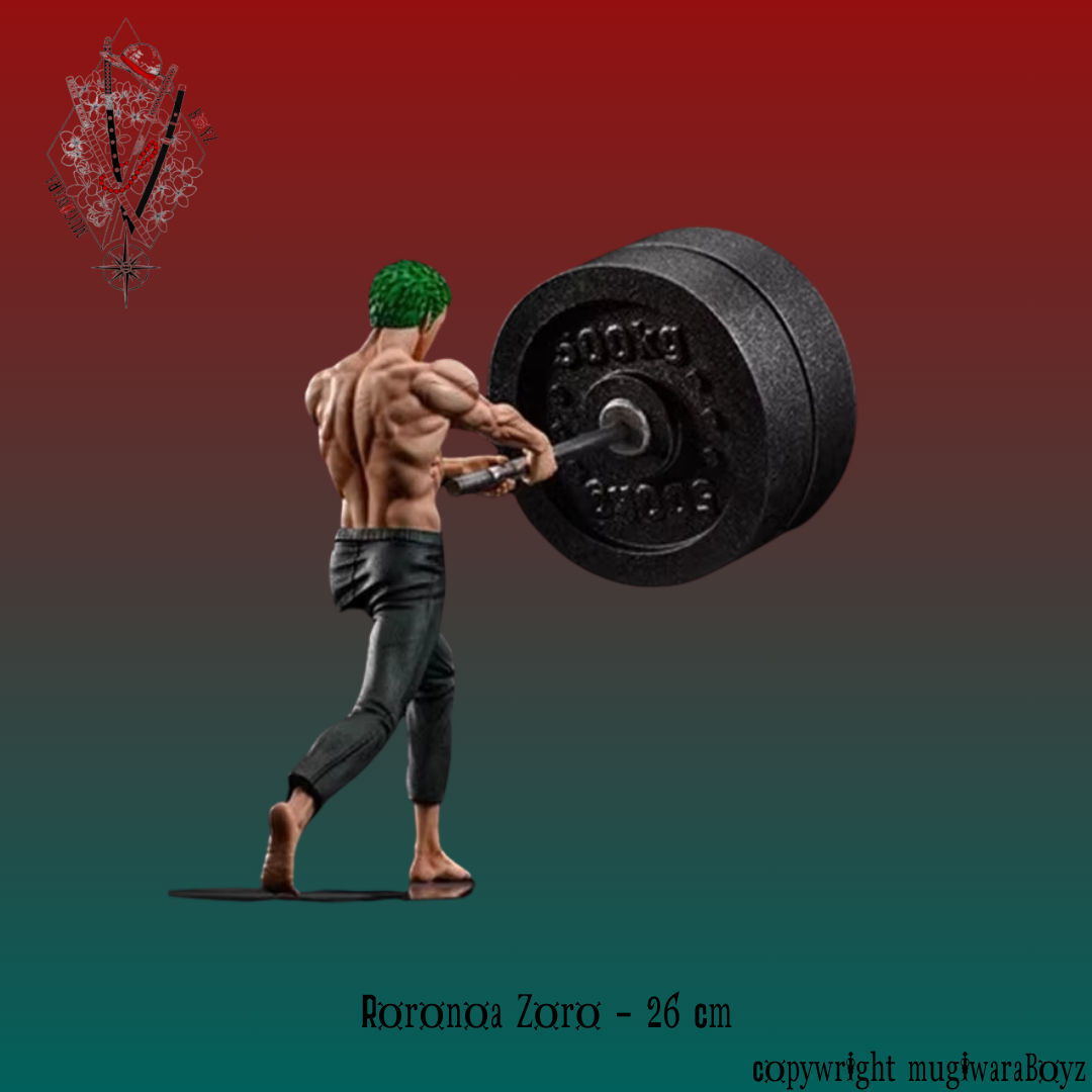 One Piece Figure - Roronoa Zoro exercise
