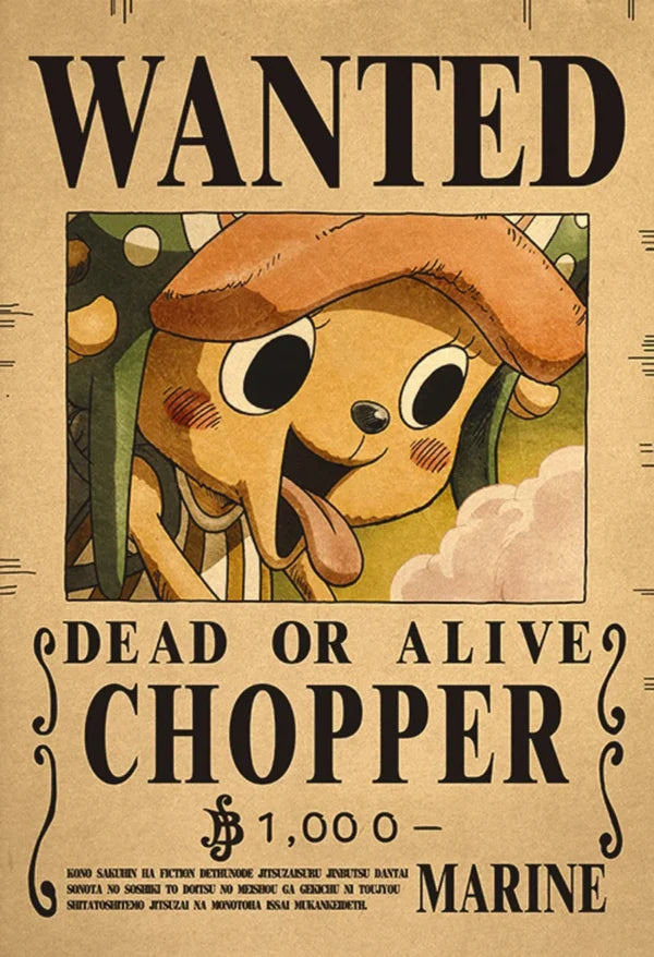 Strawhat Crew Bounty Poster Pack – 10 Piece